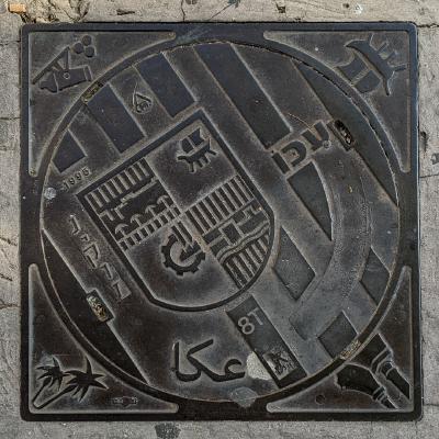 Acre Coat of Arms Manhole Cover