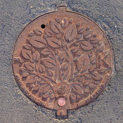 Sewage Manhole Cover with Floral Pattern